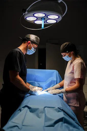 Urolog Legnica. Badania USG, wazektomia, obrzezanie